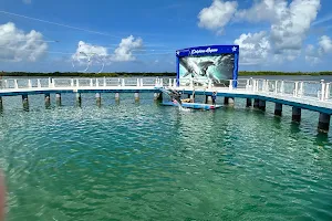 Acuario Delfinario Cayo Santa Maria image