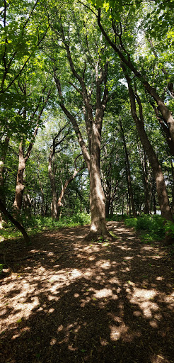 Nature Preserve «Southwood Nature Preserve», reviews and photos, 2651 Holloway Ave E, North St Paul, MN 55109, USA