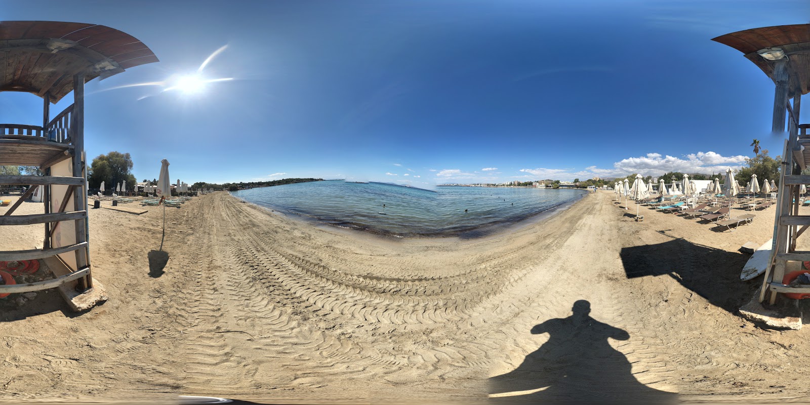 Foto de Astera com areia marrom superfície