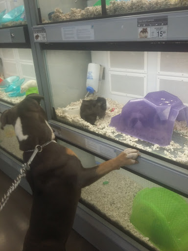 Pet Supply Store «Petco Animal Supplies», reviews and photos, 12444 NW 10th St #301, Yukon, OK 73099, USA