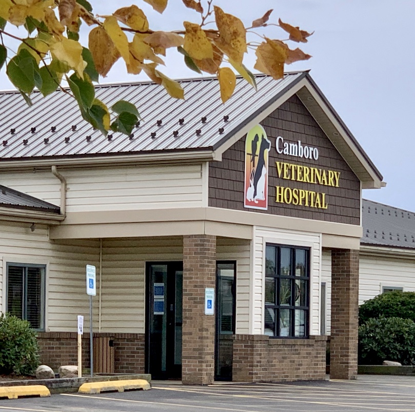 Camboro Veterinary Hospital