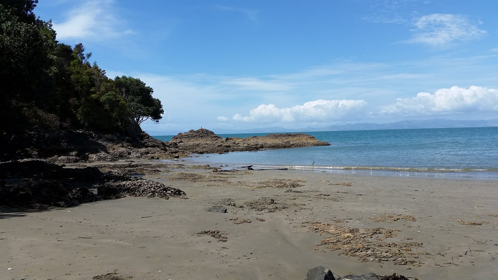 Tawhitokino Beach的照片 带有碧绿色纯水表面