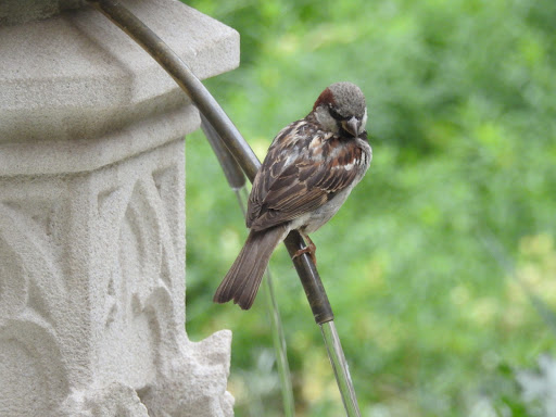 Art Museum «The Cloisters», reviews and photos, 99 Margaret Corbin Dr, New York, NY 10040, USA