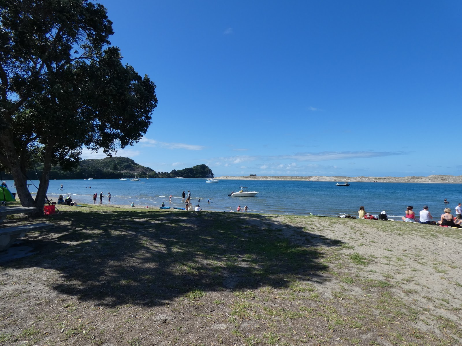 Mangawhai Beach photo #7