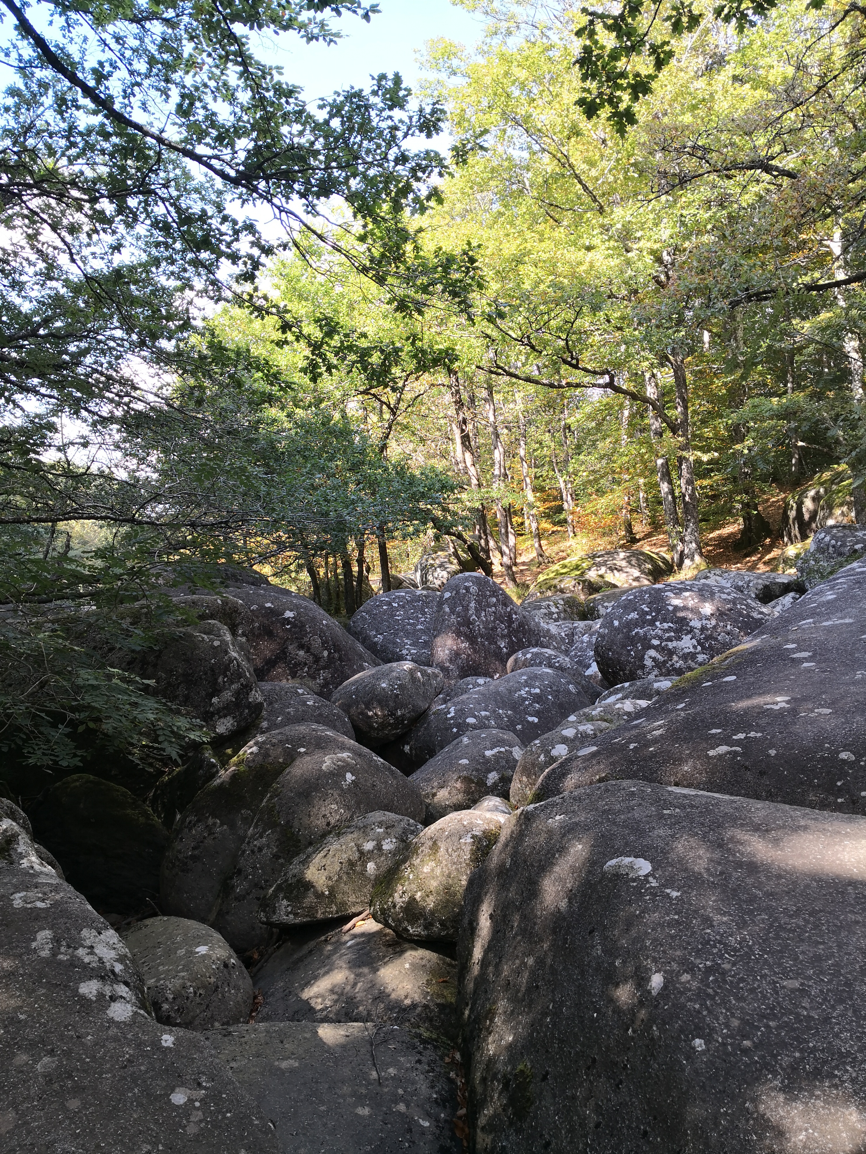 Photo n° 1 de l'avis de Olivia.e fait le 10/10/2018 à 20:00