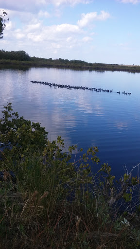 Community Center «Campbell Community Center», reviews and photos, 701 South St, Titusville, FL 32780, USA