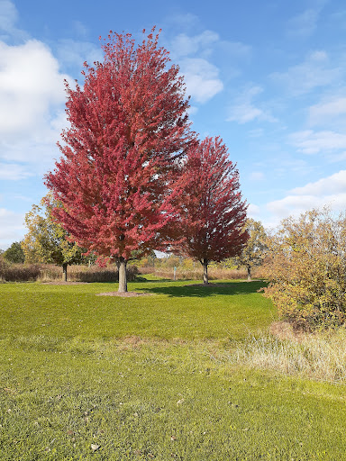 Nature Preserve «Hickory Creek Preserve», reviews and photos, Wolf Rd, Mokena, IL 60448, USA