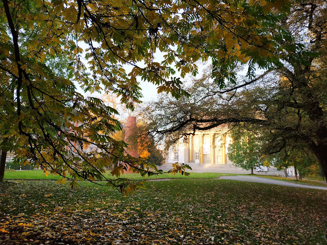 Stadtpark - Wil