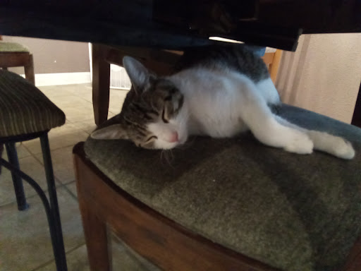 Community College «San Juan College», reviews and photos