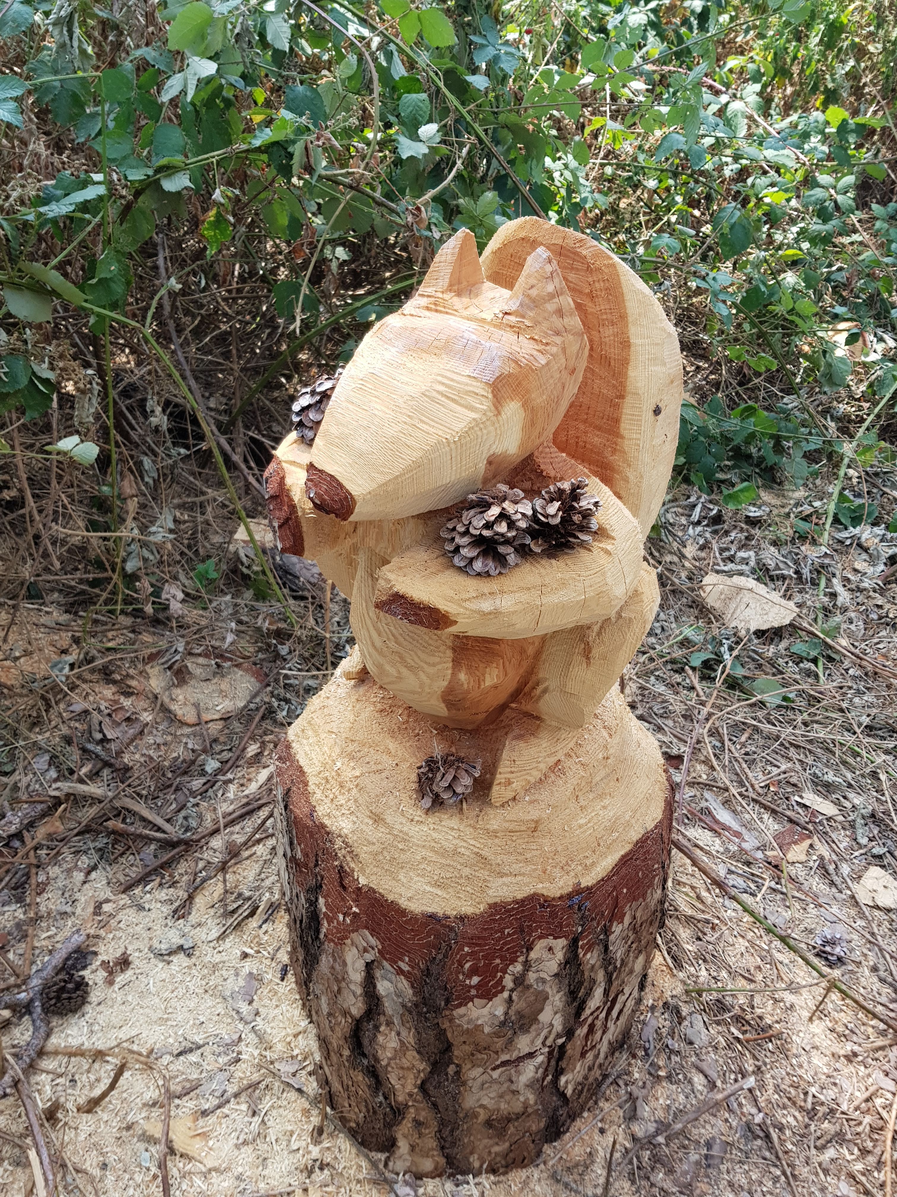 Photo n° 1 de l'avis de Philippe.C fait le 22/07/2018 à 23:15