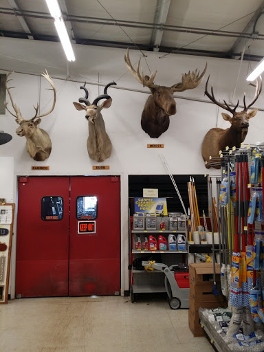 Hardware Store «Ace Hardware», reviews and photos, 1905 Charlestown Rd, New Albany, IN 47150, USA