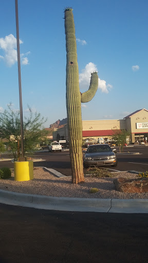 Home Improvement Store «Tractor Supply Co.», reviews and photos, 17130 E Shea Blvd, Fountain Hills, AZ 85268, USA