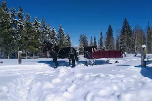 Rocky Mountain Stables Horseback Riding and Sleigh Rides image