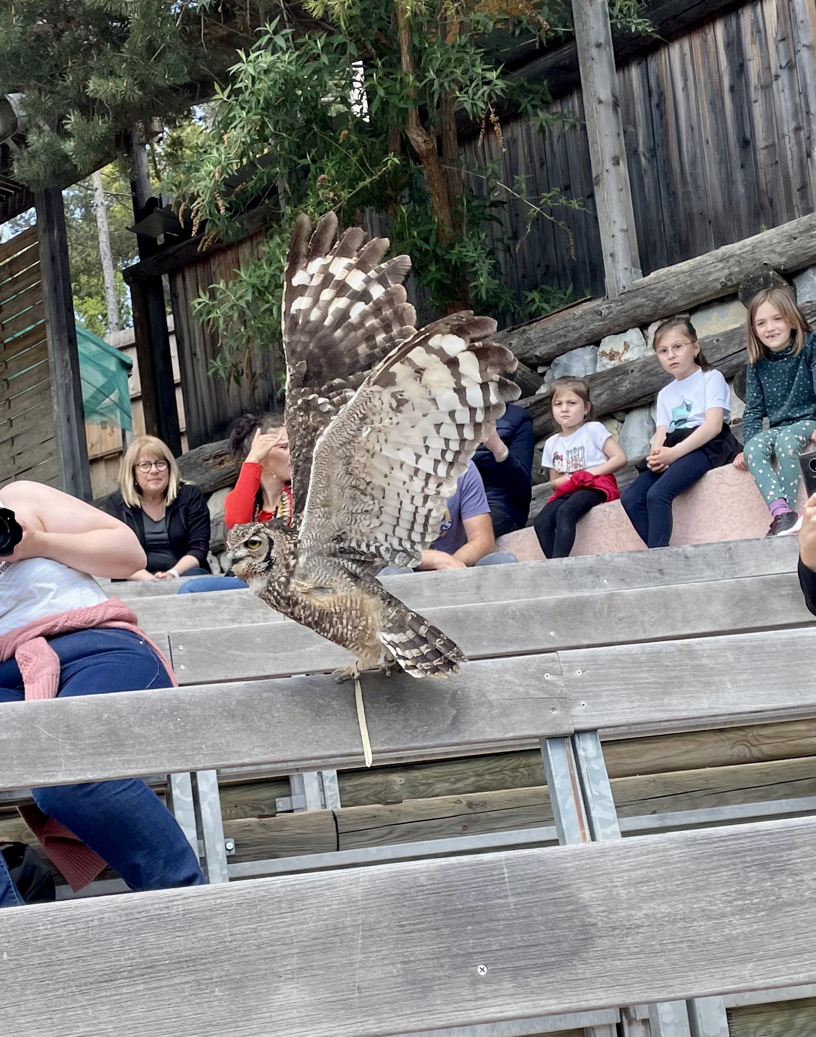 Photo n° 7 de l'avis de Anthony.a fait le 26/04/2022 à 14:57