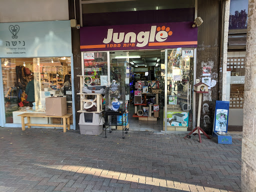 ג׳ונגל Jungle המושבה הגרמנית ירושלים