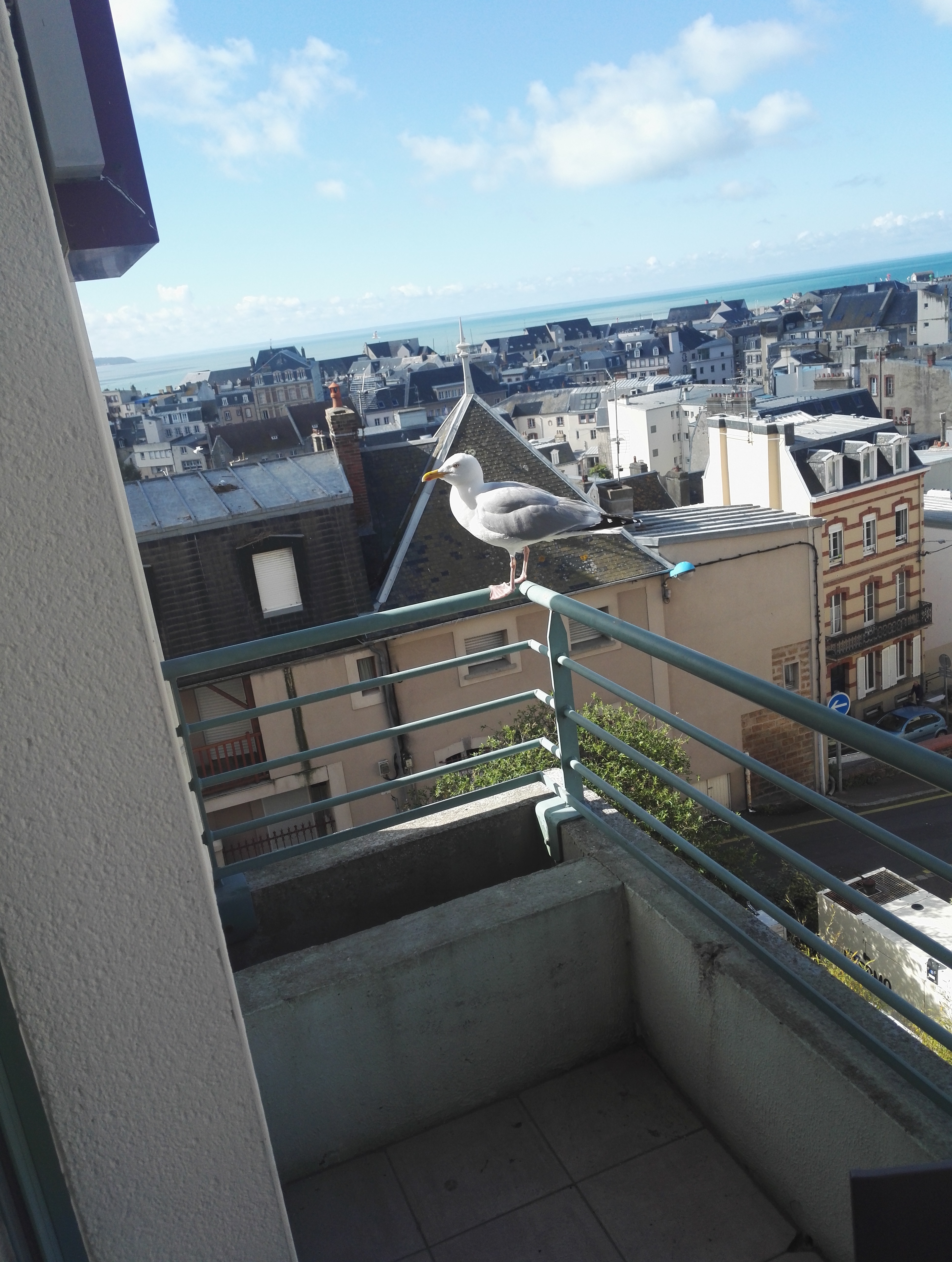 Photo n° 6 de l'avis de Brice. fait le 21/05/2017 à 06:48