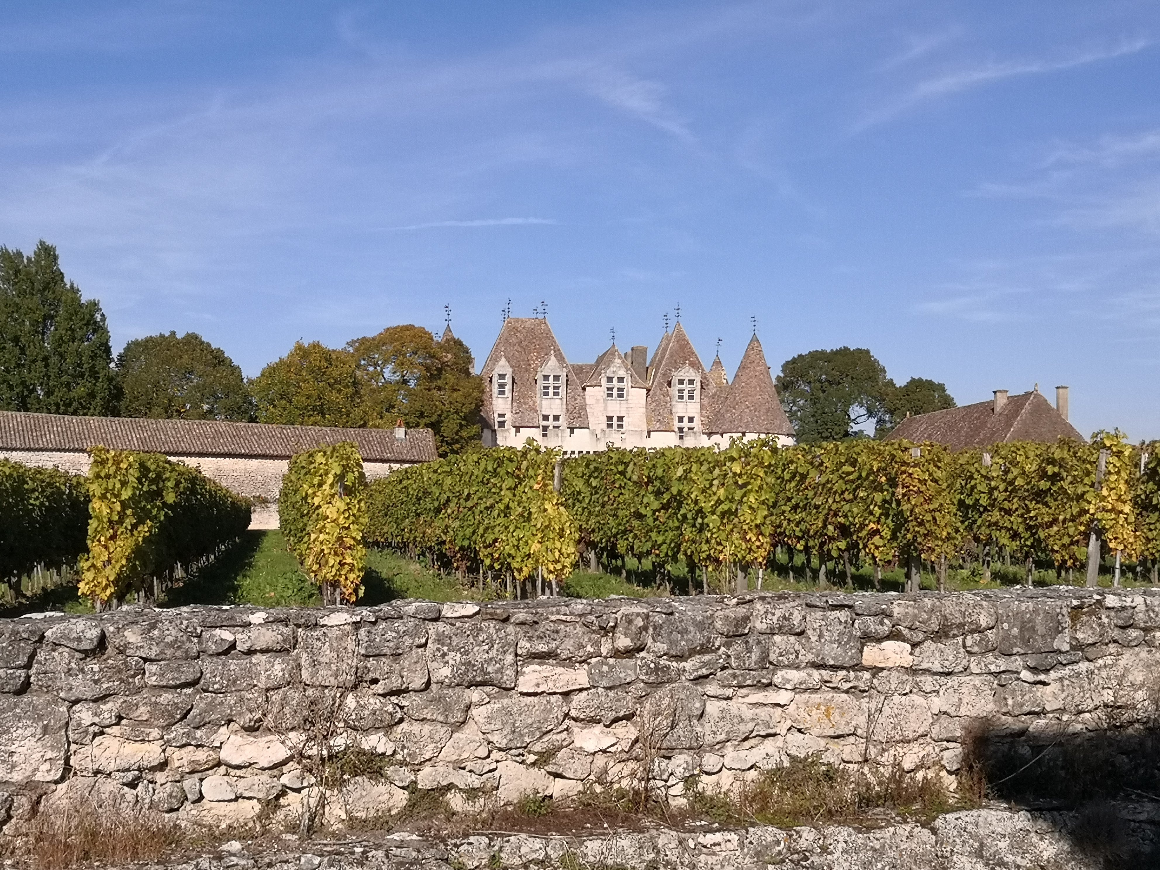 Photo n° 1 de l'avis de Sophie.u fait le 18/10/2021 à 13:22