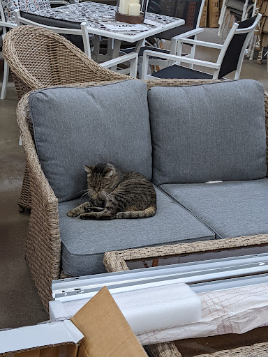 Home Improvement Store «The Home Depot», reviews and photos, 650 N 54th St a, Chandler, AZ 85226, USA