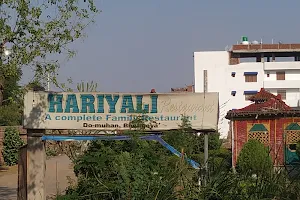 Hariyali Restaurant image