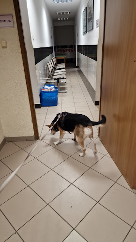 Opinii despre Lecznica Weterynaryjna Arka în Nysa - Lekarz