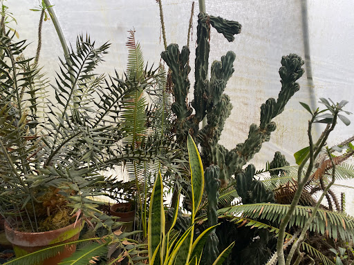 Florist «Floradise Orchids», reviews and photos, 19154 James Madison Hwy, Gordonsville, VA 22942, USA