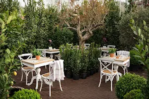 The Pavilion Garden Centre & Restaurant image