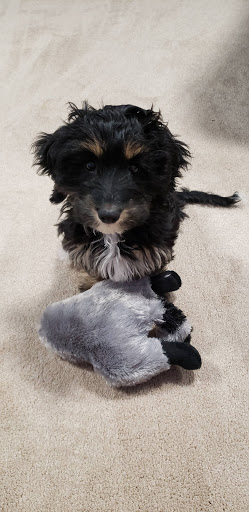 Pet Store «Liberty Agway Pet Center», reviews and photos, 11 Bon Jovi Ln, Liberty, NY 12754, USA