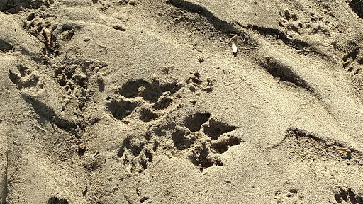 State Park «Patapsco Valley State Park», reviews and photos, 8020 Baltimore National Pike, Ellicott City, MD 21043, USA