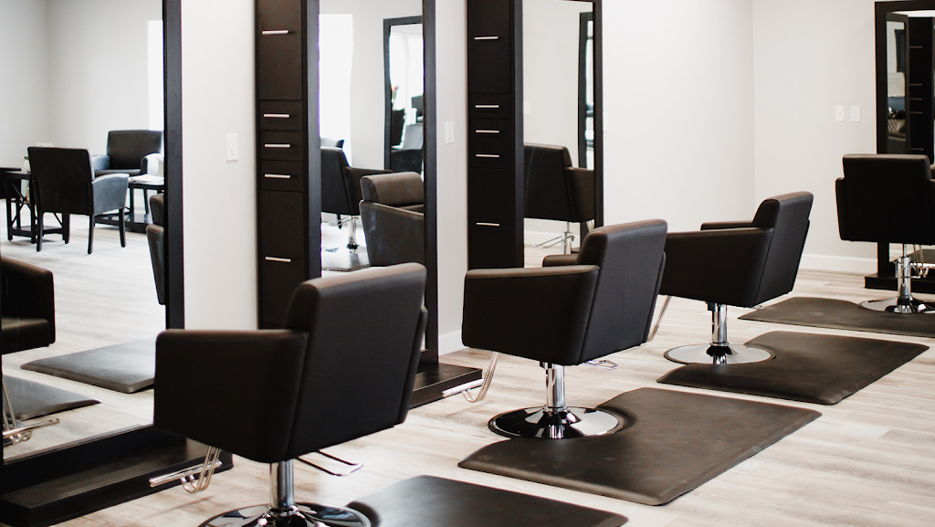 Brush Hair Studio 44333