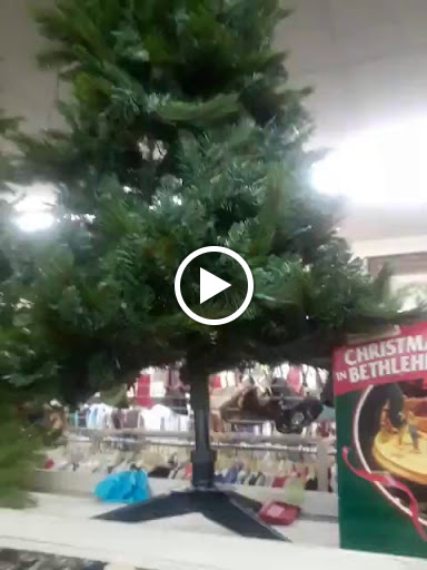 Thrift Store «American Family Services Inc», reviews and photos, 541 Milford St, Easton, PA 18045, USA