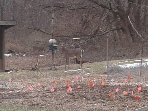 Non-Profit Organization «Museum of American Bird Art at Mass Audubon», reviews and photos, 963 Washington St, Canton, MA 02021, USA