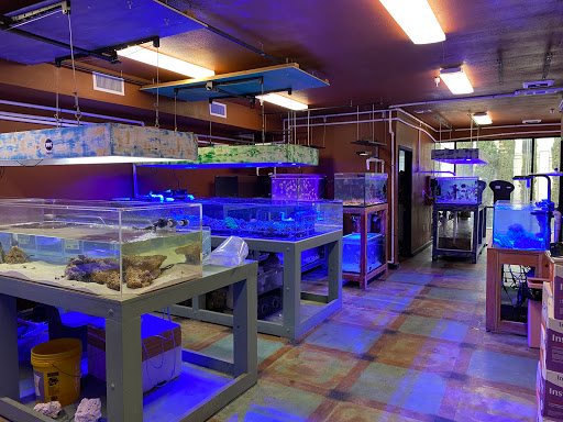 Violet Aquarium LLC