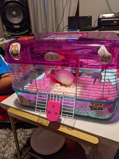 Pet Supply Store «PetSmart», reviews and photos, 6106 Shops Way, Northborough, MA 01532, USA