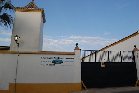 Cooperativa San Isidro Labrador C. Cartuja, 92, 21891 Chucena, Huelva, España
