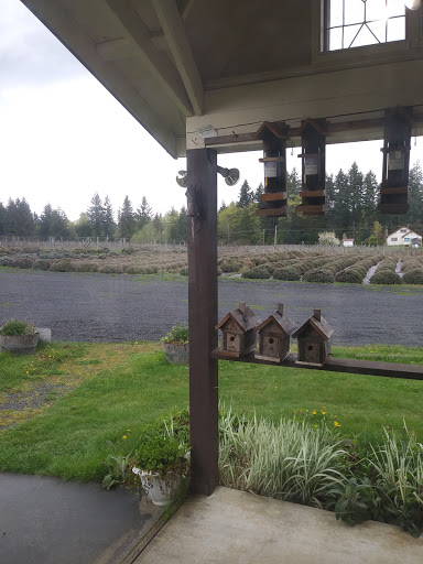 Winery «Stringtown Cellars», reviews and photos, 39610 Eatonville Cutoff Rd E, Eatonville, WA 98328, USA