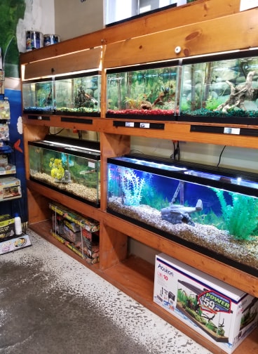 Pet Store «Just Pets», reviews and photos, 393 NY-5, Irving, NY 14081, USA