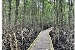 Mangrove Bontang image