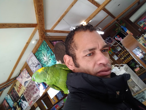 Boutique «Su Casa Boutique», reviews and photos, 1041 N Cedar St, Lansing, MI 48906, USA