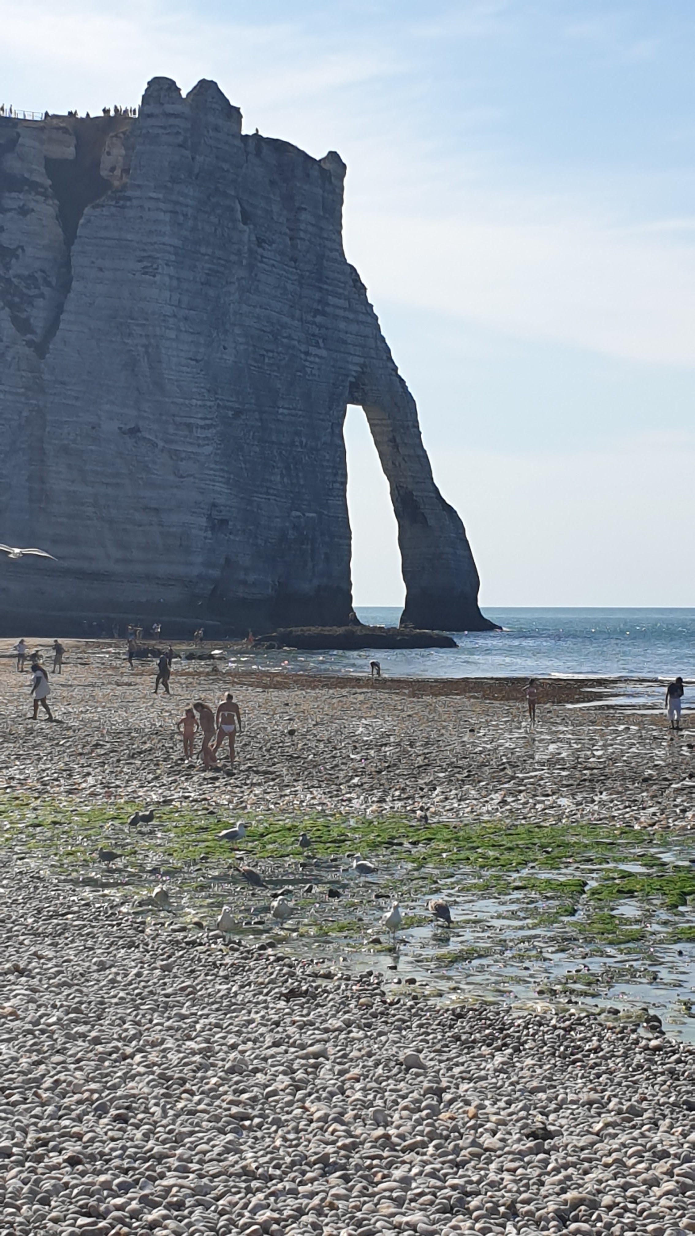 Photo n° 3 de l'avis de Hollow.a fait le 14/08/2022 à 19:07