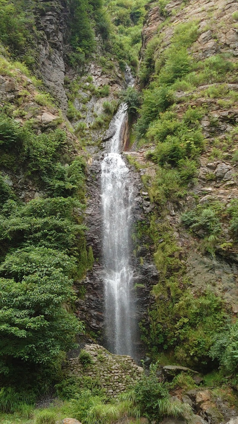 金龍の滝