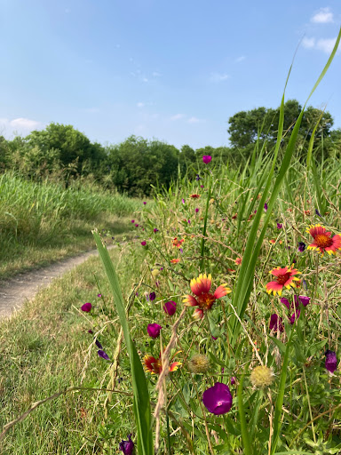 Nature Preserve «Rowlett Creek Preserve», reviews and photos, 2525 Castle Dr, Garland, TX 75040, USA