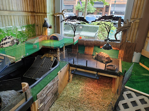 Aquarium «Team ECCO Ocean Center & Aquarium», reviews and photos, 511 N Main St, Hendersonville, NC 28792, USA