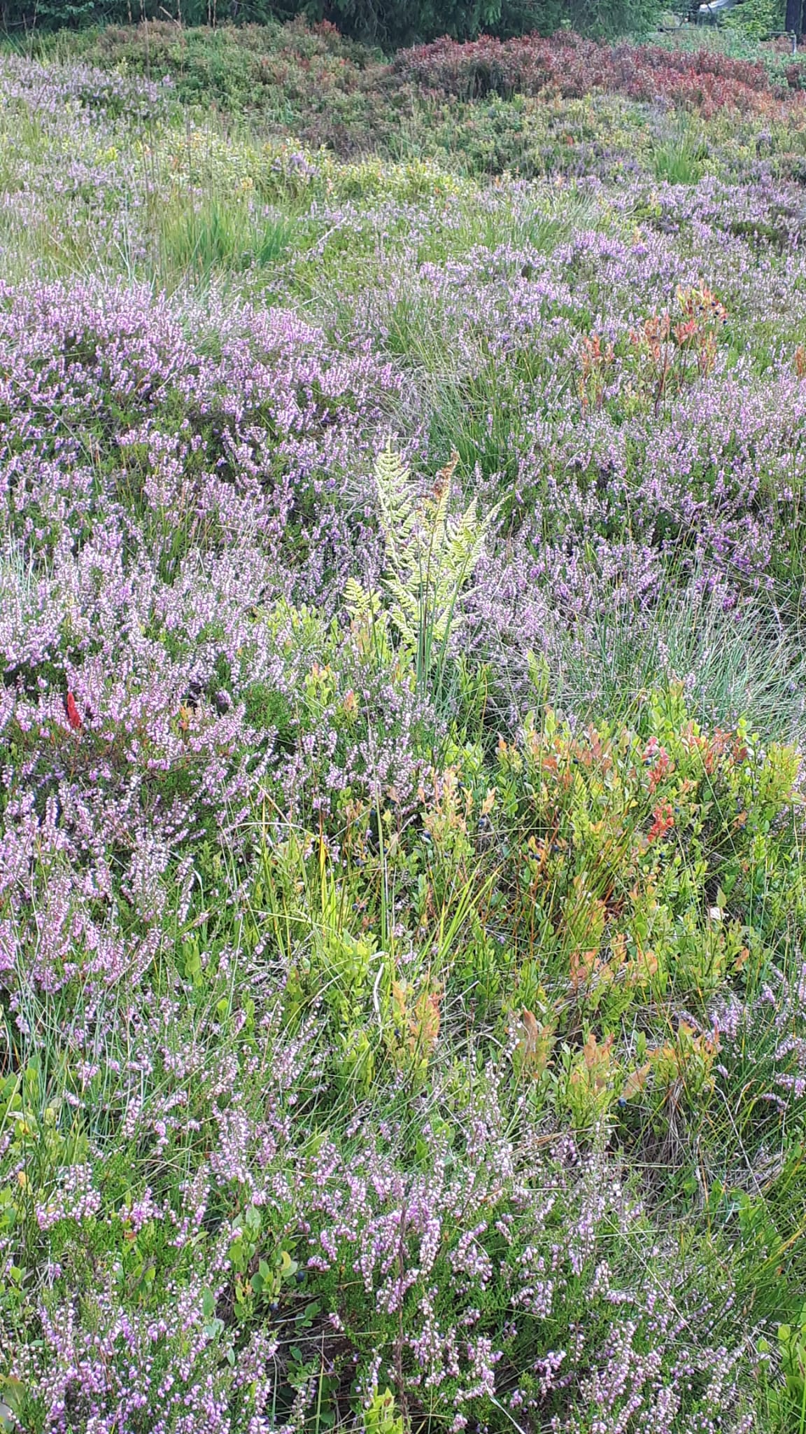 Photo n° 2 de l'avis de Jean.a fait le 21/08/2023 à 20:10