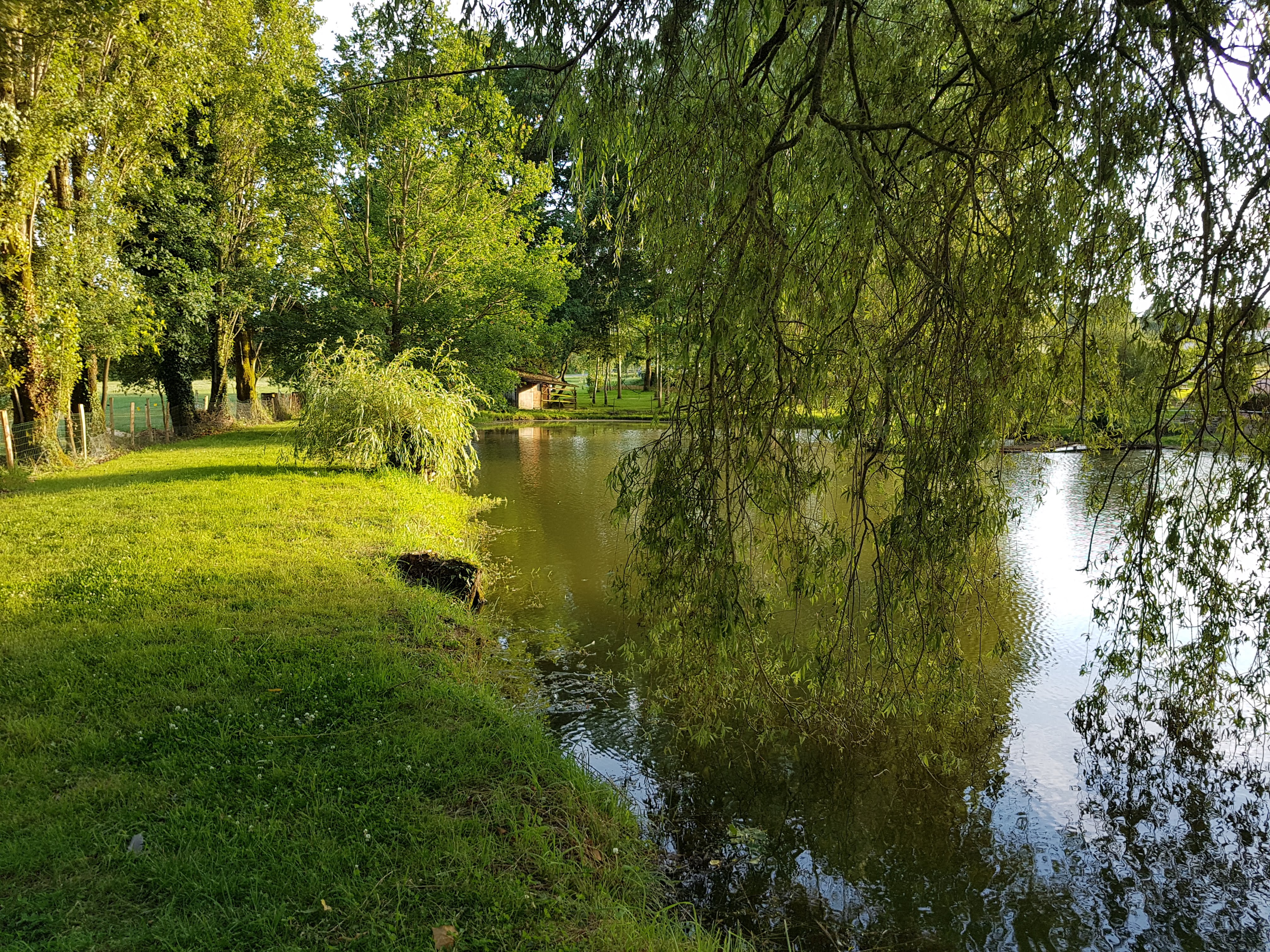 Photo n° 2 de l'avis de Agathe.E fait le 14/08/2018 à 11:10