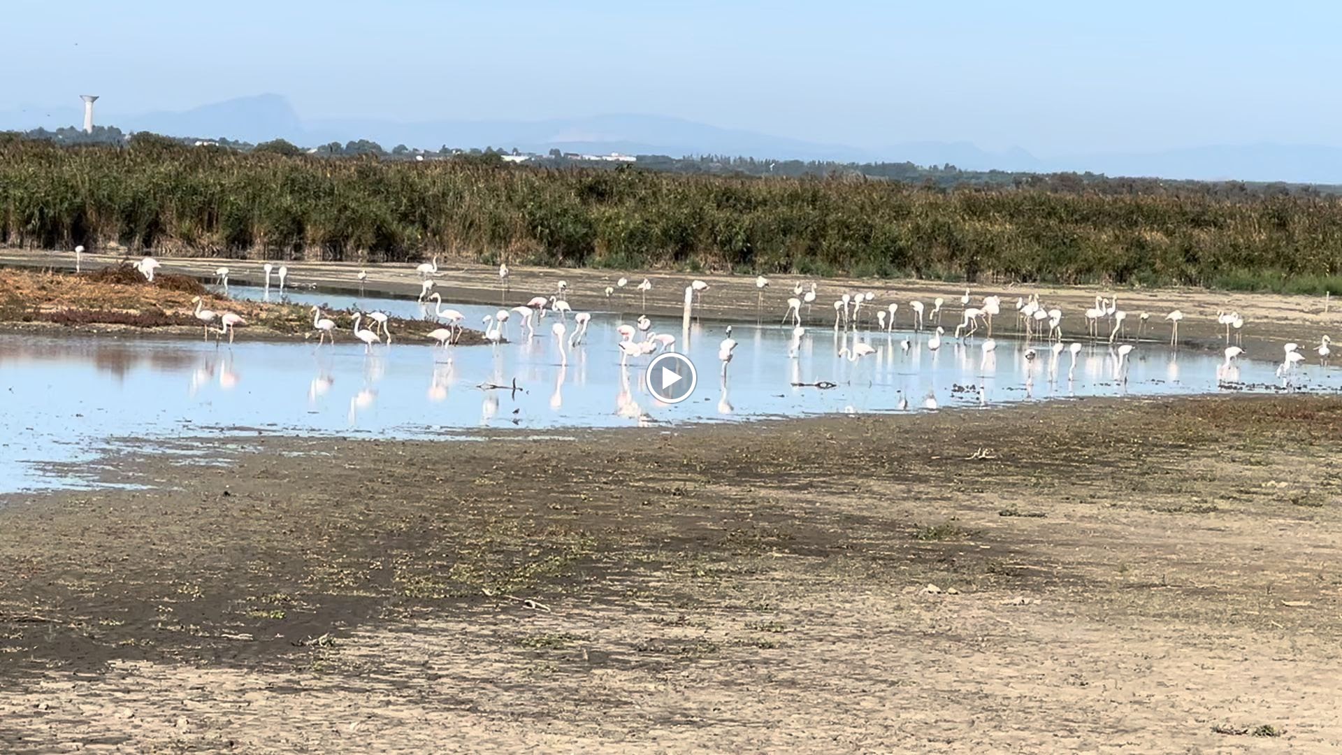 Photo n° 15 de l'avis de Jean-yves.o fait le 09/10/2023 à 14:29