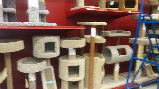 Pet Supply Store «Petco Animal Supplies», reviews and photos, 4012 W 27th Ave, Kennewick, WA 99337, USA