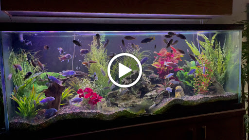 Jewelry Store «G.D.A. Jewelers», reviews and photos, 268 Southland Dr, Lexington, KY 40503, USA