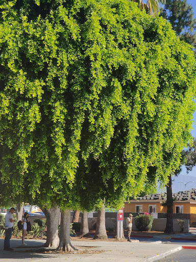 West Covina DMV image