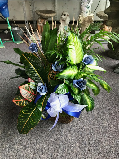 Florist «Action Florist & Gift House», reviews and photos, 1791 US-209, Brodheadsville, PA 18322, USA