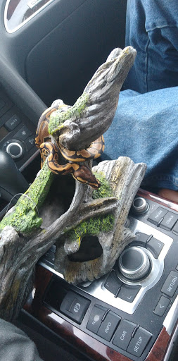 Pet Supply Store «Petco Animal Supplies», reviews and photos, 3380 124th Ave NW, Coon Rapids, MN 55433, USA